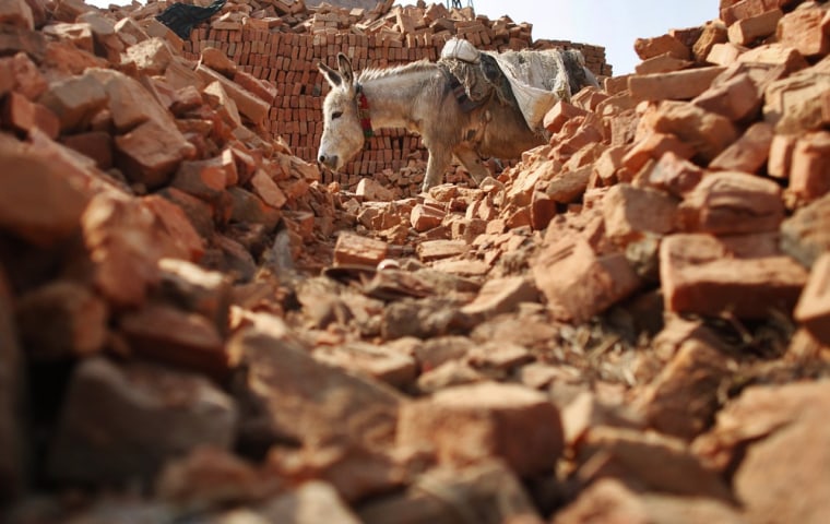 A donkey carries bricks at a brick factory in Imadol.
