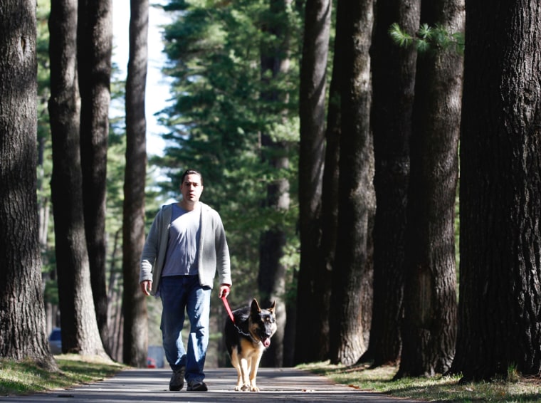 In this March 23, 2012 photo, Armando Morales walks his German shepherd Athena at Saratoga Spa State Park in Saratoga Springs, N.Y. The mild winter means ticks are going to be stirring earlier this year as they begin searching for the blood meals, experts say.