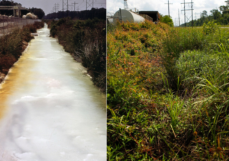 This 1973 photo released by the U.S. National Archives shows contaminated water in a drainage ditch behind the Pittsburgh Glass Company near Lake Charles, Calcasieu parish, La. The same location is now overgrown with vegetation in April 2012.