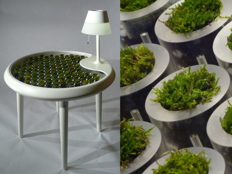 Moss Table
