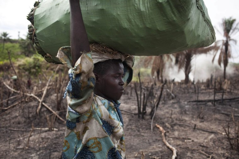 A worker carries charcoal through a slashed and burned area in eastern Sierra Leone, April 20, 2012. Logging is illegal in Sierra Leone, but remains the leading cause of environmental degradation, according to the European Union. Population pressure, common slash and burn methods and illegal logging mean the country's bountiful forests could disappear by 2018, according to the Forestry Ministry.