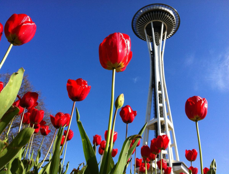 Seattle's iconic Space Needle turned 50 on Saturday, April 21, 2012.