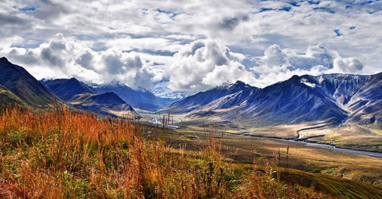 Denali National Park, Alaska