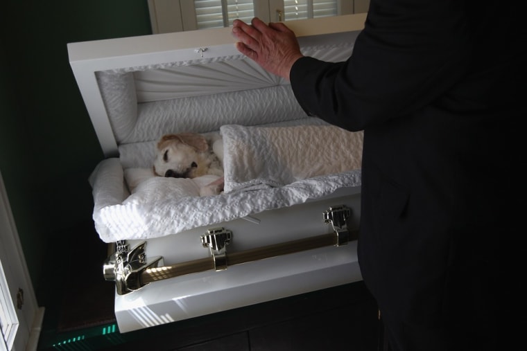 Grieving pet owner Spencer Warren opens the casket of his beloved 12-year-old beagle-hound Justin in the viewing room of the Hartsdale Pet Cemetery and Crematory on April 30 in Hartsdale, New York. Warren, an Annandale, Virginia attorney, had traveled with Justin's body to bury him here on a shady hillside. The cemetery, established in 1896, is the oldest pet cemetery in the United States and serves as the final resting place for tens of thousands of pets. Pet owners can spend as much as $20,000 for a large plot to bury multiple pets and as little as $300-400 for small plots to bury ashes if they choose cremation. Pet owners also have the option of eventually having their own ashes buried in the plot, alongside their pets.