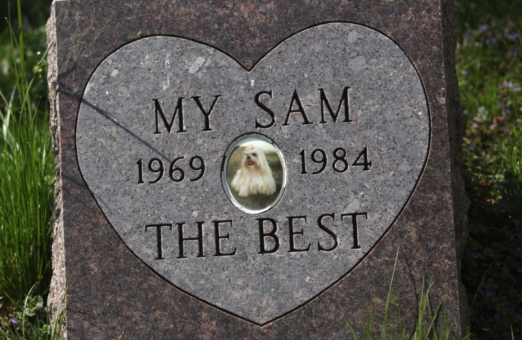 A gravestone marks a pet's final resting place.