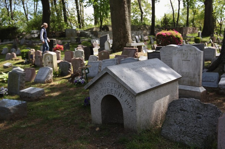 Graves and tombs mark pets' final resting place at the Hartsdale Pet Cemetery and Crematory.