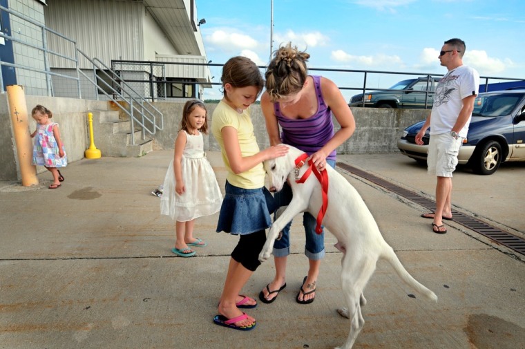 Rebecca Bilot, center, and her daughter Haley, 9, play with their new dog named Blanco, who was flown into Grand Rapids Monday, July 11.  Bilot's brother, Lee Chandler, is a Grand Valley State University graduate and a member of the Arizona National Guard who is stationed in Afghanistan. Chandler and his platoon adopted Blanco at their base and were determined to find a home for him. Chandler had Blanco flown into Grand Rapids and will be arriving later this month from Afghanistan to pick the dog up.