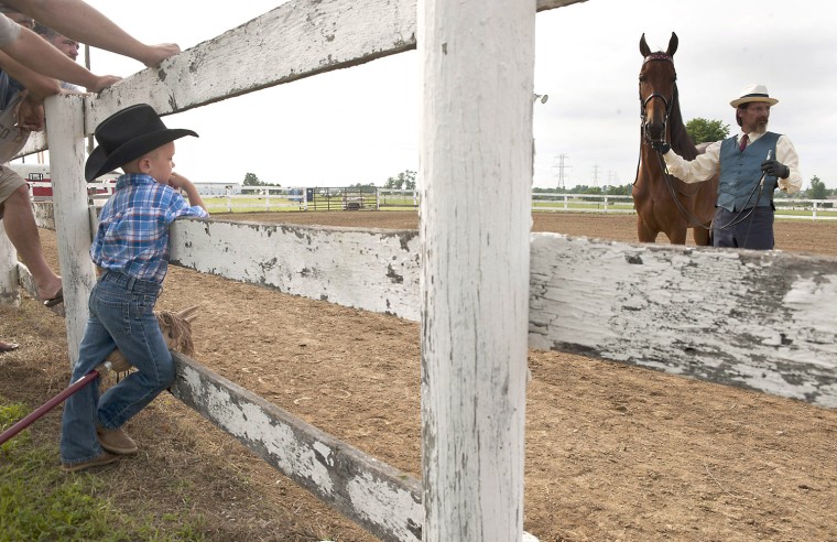 Zac Jordon, 4, watches the Garrard County Horse Show, near Bryantsville, Ky. on June 26, during the Garrard County Fair.