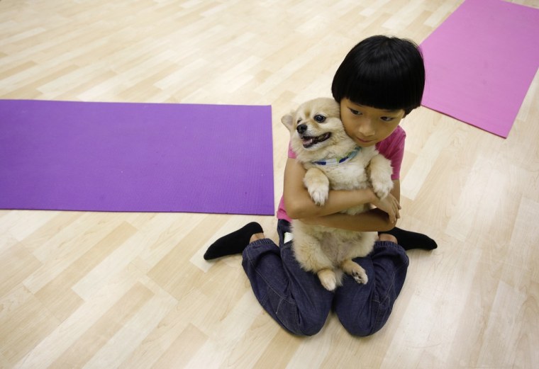 A girl nicknamed Megabox holds Ruby, a Pomeranian-Shiba Inu mix, before taking part in a
