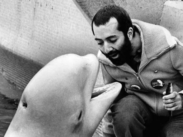Children's singer Raffi Cavoukian met beluga whale Kavna at the Vancouver Aquarium in 1979. After she gave him a wet kiss, he couldn't stop taking about her for weeks.