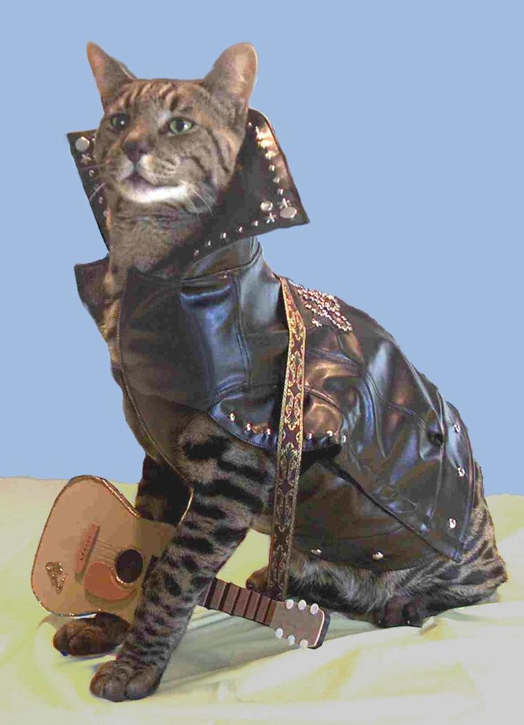 Elvis, a Savannah cat, attended Matilda's party in a rhinestoned outfit.