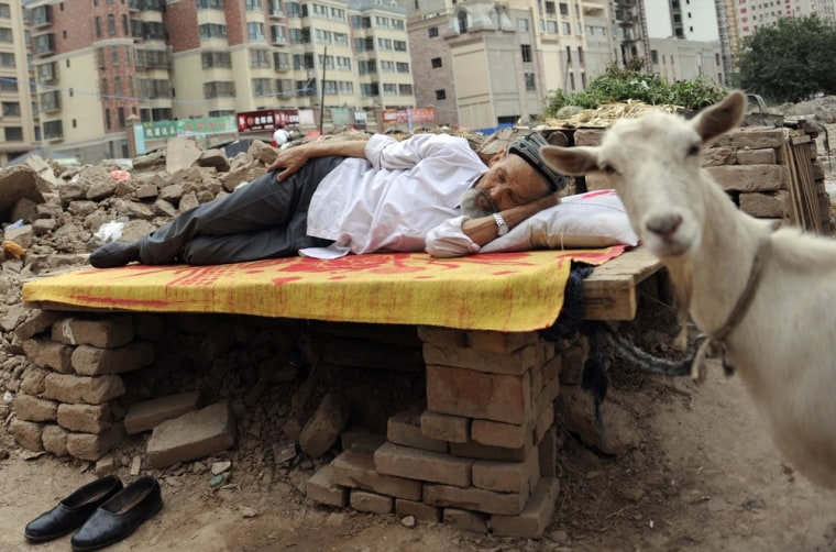 An ethnic Uighur man takes a nap on a board as his sheep, which is tied to the board, stands next to him at a demolition site in Aksu, Xinjiang Uighur Autonomous Region, western China, on August 13, 2012.