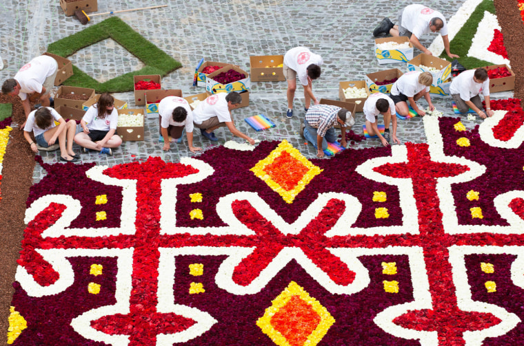 Volunteers lay down Begonias to make the giant flower carpet, at the Grand Place in Brussels, Belgium, on Aug. 14.