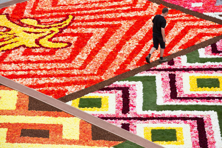 A volunteer walks by the Begonias to make the giant flower carpet, at the Grand Place in Brussels, Belgium, on Aug. 14. The biennial flower carpet is made with Begonias and takes place during 4 days.