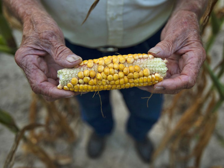 Drought conditions plague much of the United States after a summer of scorching temperatures and a lack of rain. The dryness is affecting America's farmland, threatening crops like soybean and corn.