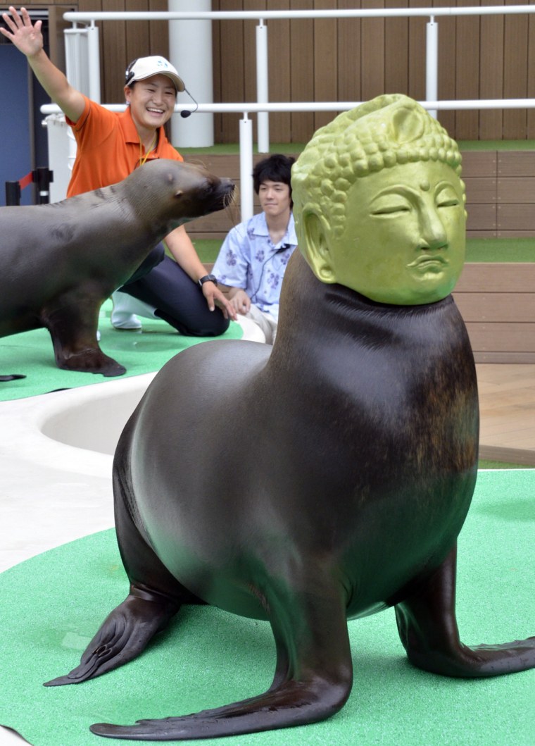 A sea lion wears a mask of a Buddha at the Sunshine Aquarium in Tokyo on Monday, Aug. 1, 2011.