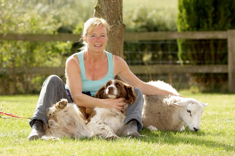 Alison Sinstadt raised Jessie the dog and Jack the sheep together on her farm in England.