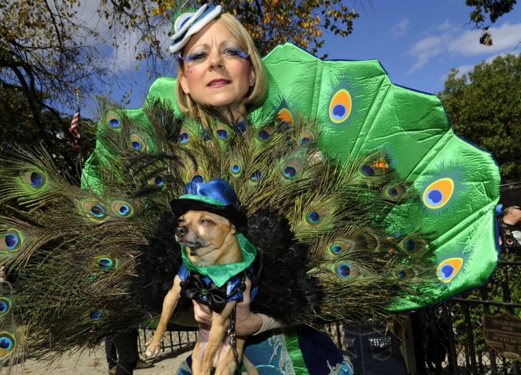 Karen Biehl and Eli are dressed as peacocks.