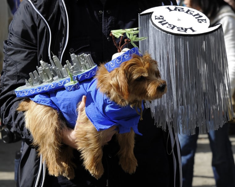 Disney Walking Mary Poppins Dog Costume by Ru