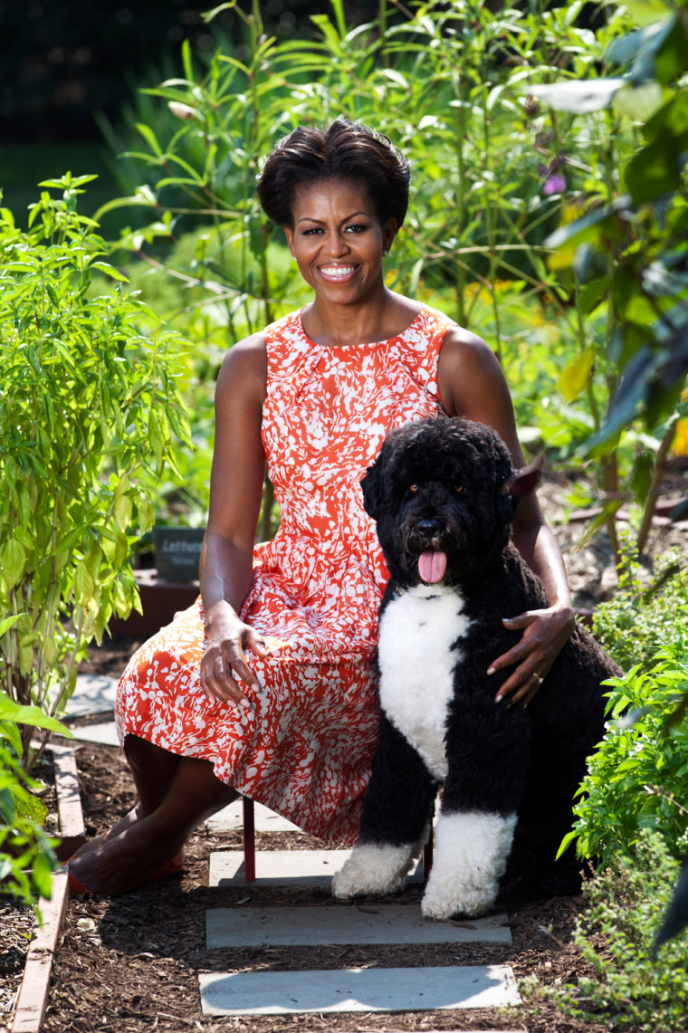 First Lady Michelle Obama with Bo, the Obama family dog, in the White House Kitchen Garden.