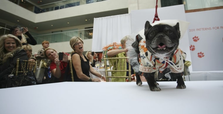 Audience members react as a dog model walks down the runway on Oct. 12, in Fort Lauderdale, Fla.