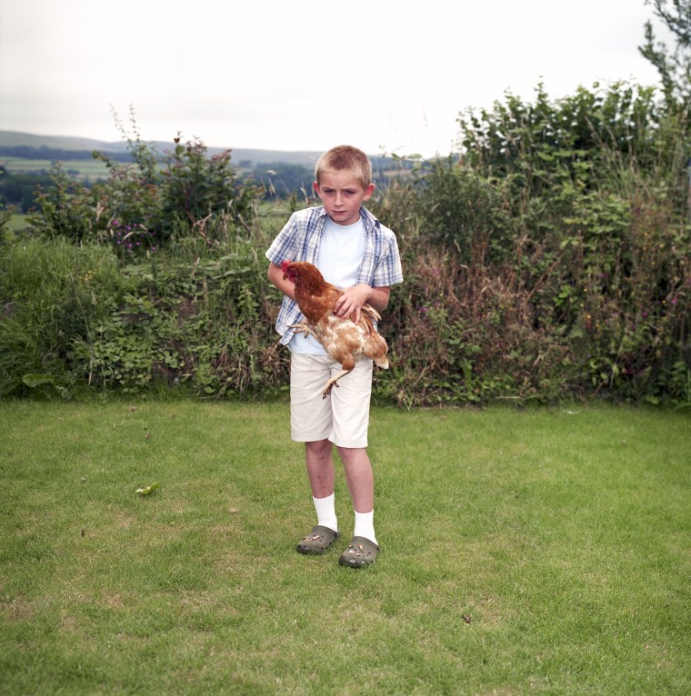 Eight-year-old Sam Bradley adopted the 200,000 hen to find a new home through the British Hen Welfare Trust. Sam, who wants to be a farmer when he grows up, said,