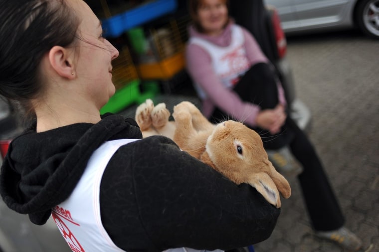 A woman holds her rabbit after an obstacle course.