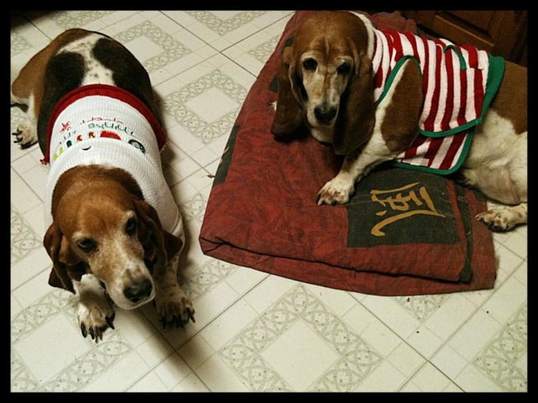 Jasmine and Jaylee LOVE their sweaters!! They actually beg to have us put them on.