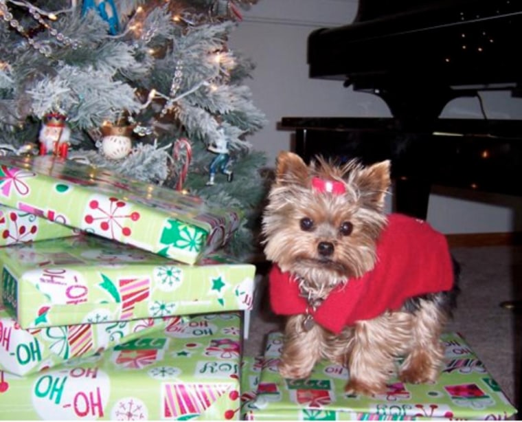 Only the cutest present under the tree!