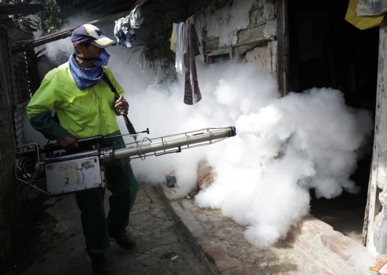 A San Salvador government worker fumigates houses in the northern area of the capital city, to eliminate mosquitos, transmitters of the dengue disease in San Salvador, El Salvador, Aug. 17, 2012.