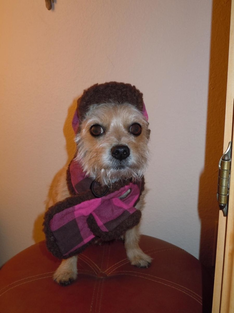 Ready for the cold snowy day in her hat and matching scarf. So fashionable!