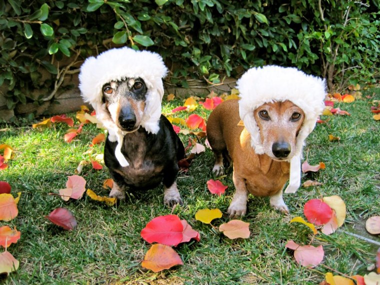 The winter hats may be over-kill for So Cal, but they look cute.