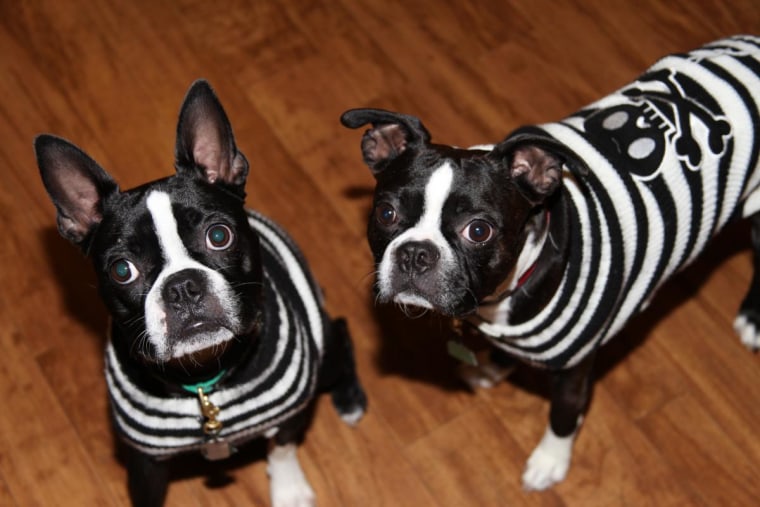 Do these stripes make us look fat?!