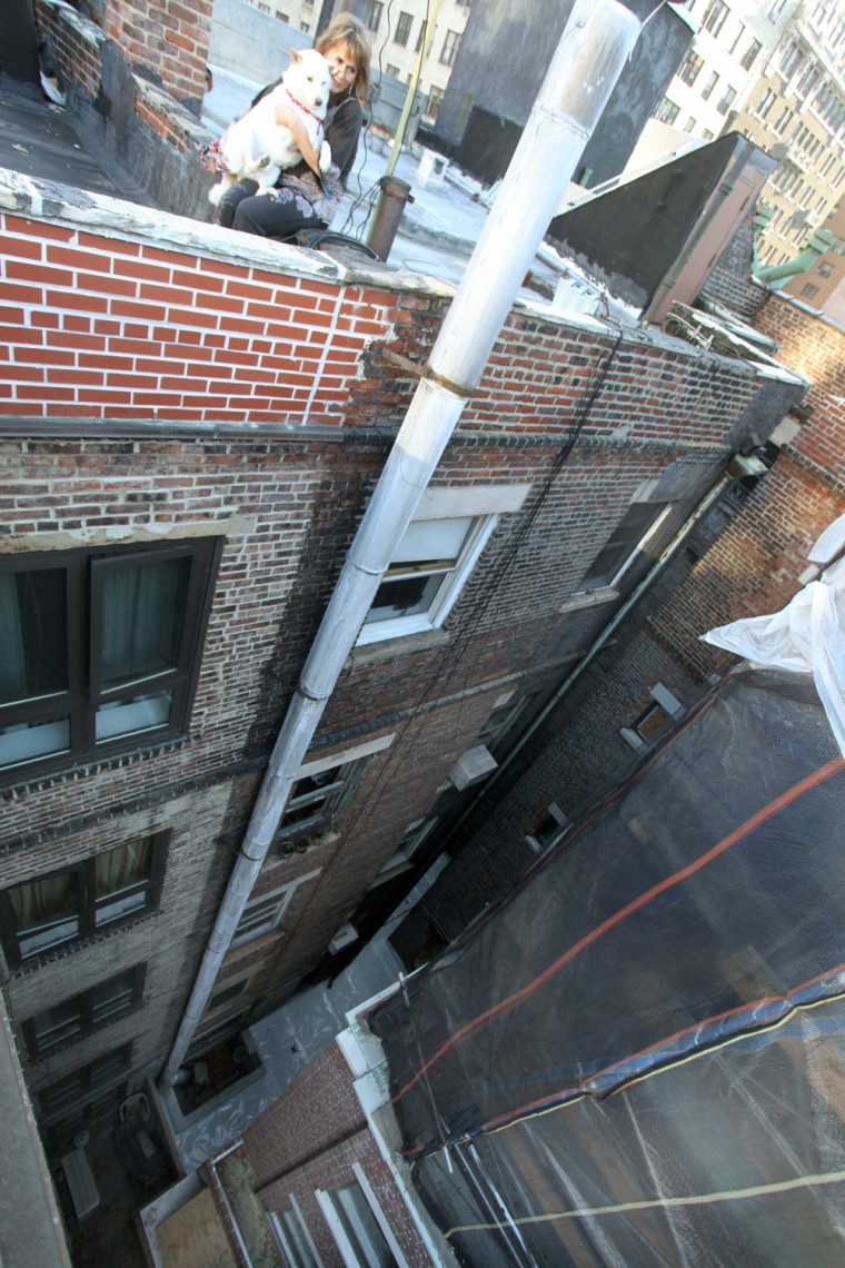 Kai, a 2-year-old Shiba Inu, plunged 50 feet from this rooftop.