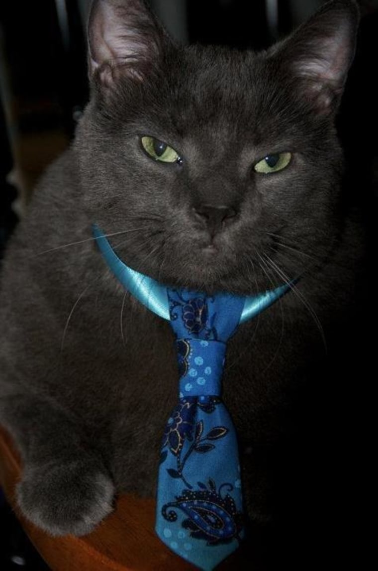 Tiny sports a stylish blue tie in this photo from July 30.