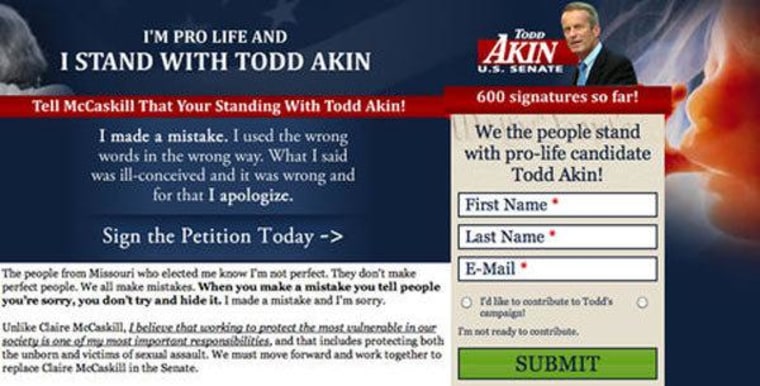 Screengrab of Akin's website