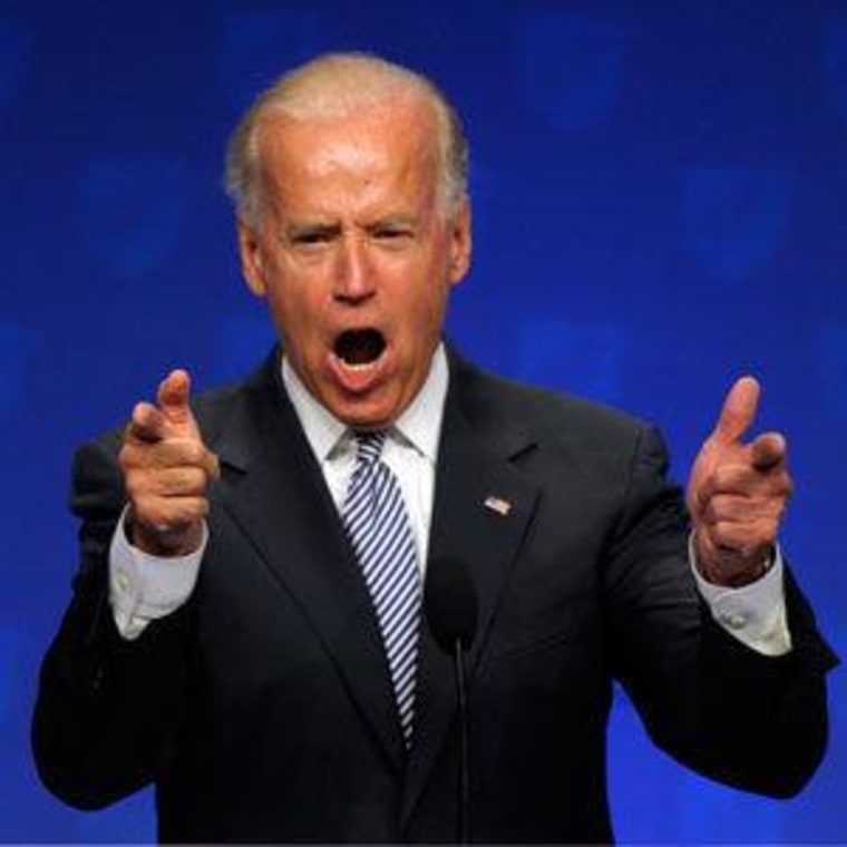 Vice President Joe Biden (file)