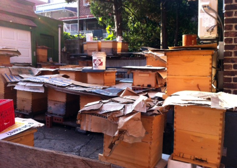 Bees are contained outside of a Queens, N.Y., home on Wednesday.
