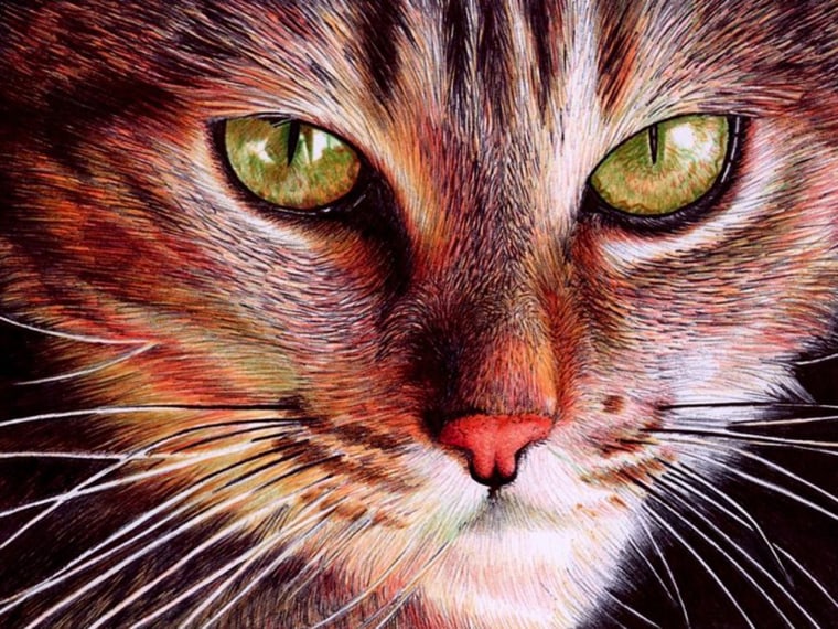 Artist Draws Insanely Realistic Portraits With Just a Ballpoint Pen