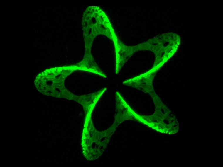 Image of a 3D pattern