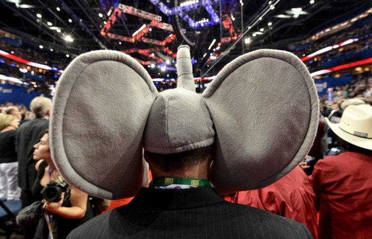 A Republican delegate wears an elephant hat during the roll call vote on the floor of the Republican National Convention, Aug. 28.