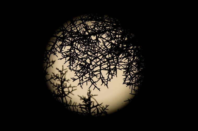 A full moon is seen behind tree branches in Skopje on Aug. 31. According to NASA, this is the second time in August that a full moon is seen. The first was on the night of Aug. 1-2. This phenomenon is referred to as a