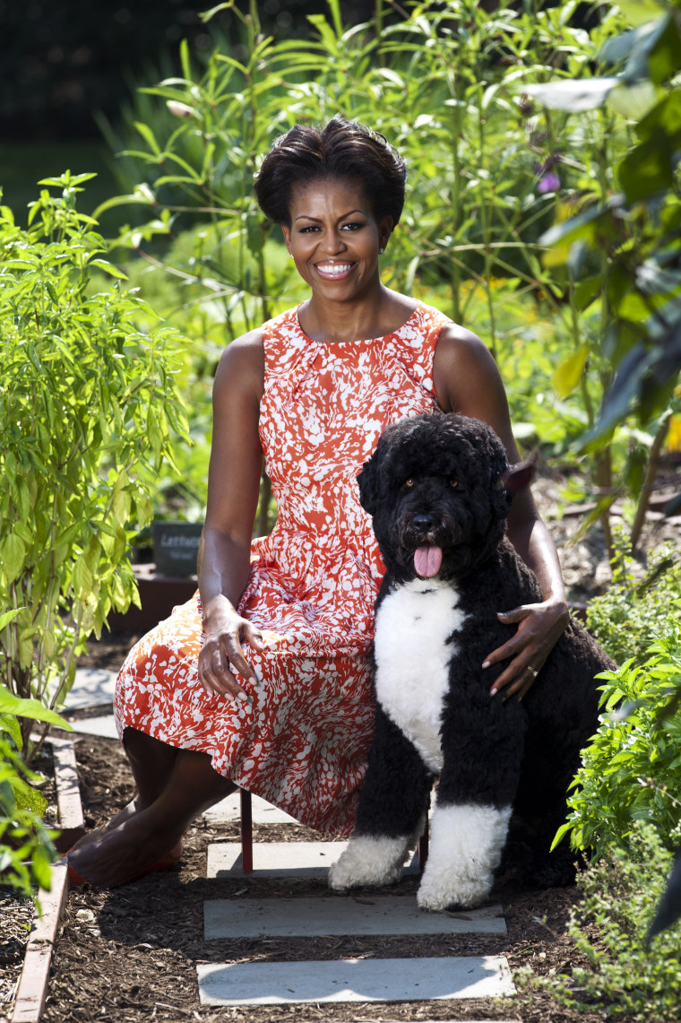 The official Bo and Mrs. O portrait, released by the White House Monday.