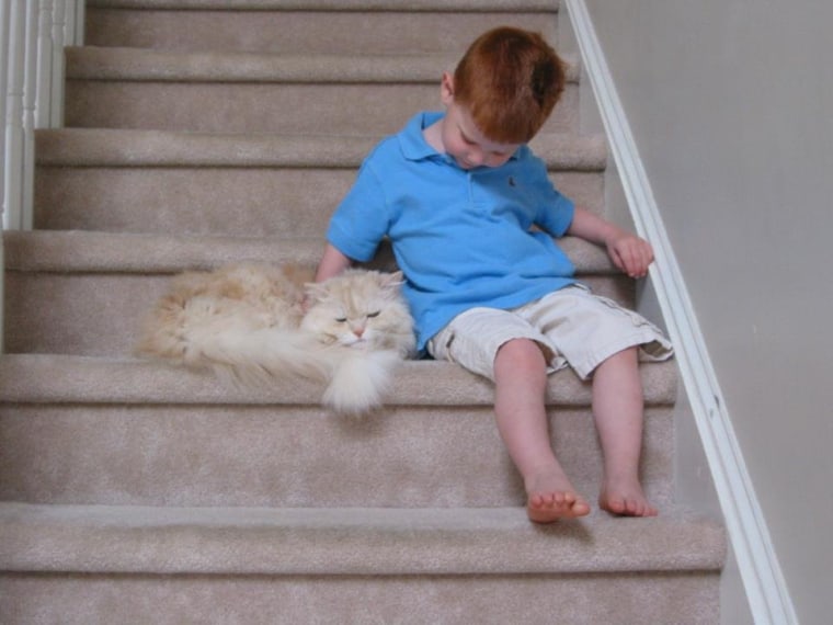 My redheaded boy loved his kitty. We lost him a year ago, and my son still writes essays at school about him.
.