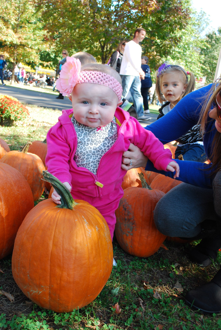 Pumpkin picking with 5-month-old Chloe