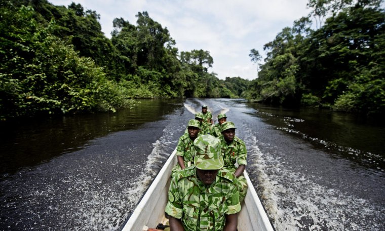 WWF poaching efforts