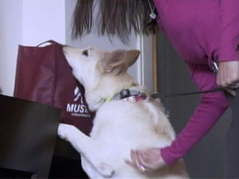 Parents can hire this drug-sniffing dog to search their homes.