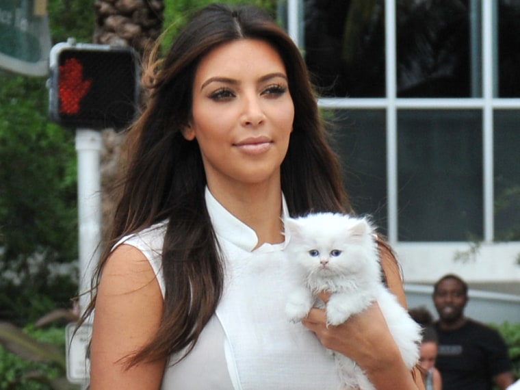 Kim Kardashian is mourning the death of her beloved kitty, Mercy, who was put down after being diagnosed with a fatal virus.