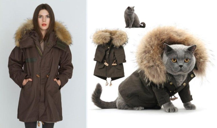 Who wears it best? United Bamboo is now selling the outfits its feline 'models' wore in the brand's annual Cat Calendar. This parka was modeled by 'Patootie' for Dec. 2011.
