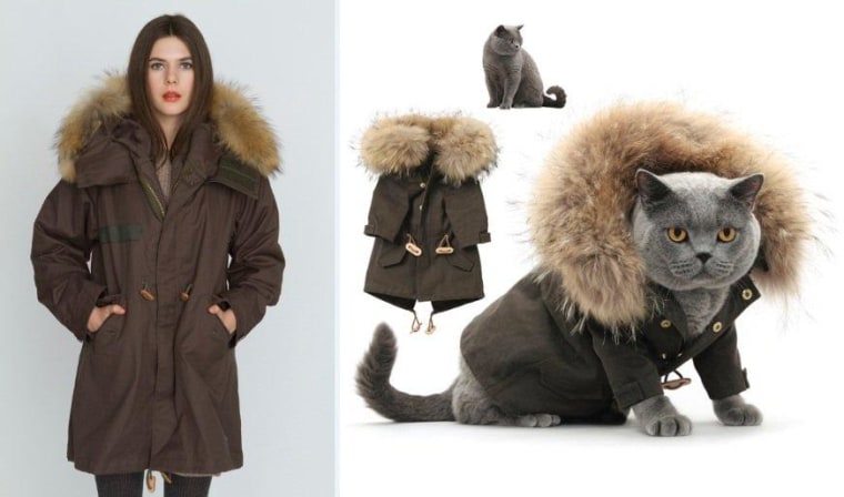 Purrrty pets: Dress like your cat — for $1,000